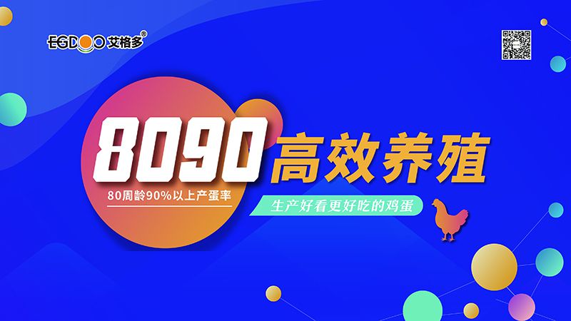 四會(huì)連開，艾格多8090高 效養(yǎng)殖700天唐山區(qū)域線下交流會(huì)成功舉辦